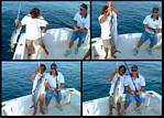 (15) montage (rig fishing).jpg    (1000x720)    379 KB                              click to see enlarged picture